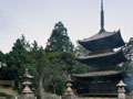 石手寺（三重塔）／松山市