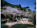 薬王寺／日和佐町