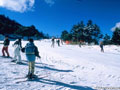 剣山スキー場／一宇村